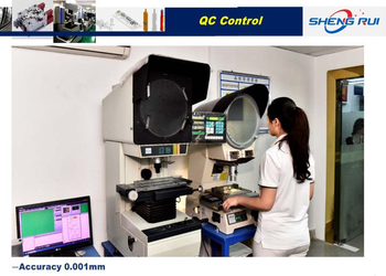 Dongguan Sheng Rui Precision Mould Co., Ltd.